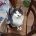 Alain Patte - Facebook