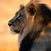 Alain Rizk - Facebook