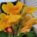 Alain Robichaud - Facebook