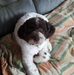 Alain La Roque - Facebook