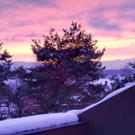 Alain Rosset - @alain.rosset.547 - Instagram