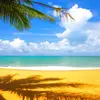 alain samson - @alain.samson6 - TikTok