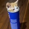Alain Serrano - @alain.serrano3 - TikTok
