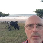 Alain Tessier - @alain.tessier.5876 - Instagram