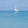 alaintessier785 - @alaintessier785 - TikTok