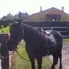 Alain Thomas - @alain.thomas75 - TikTok