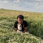 Alain Vaes - @vaes_en_zeker - Instagram