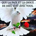 Alain Victor - @alainvictor20 - Instagram