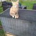 Alain Victor - Facebook