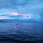 Alain Jude Vidal - @alainjudevidal - Instagram