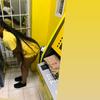 alaine.whyte - @alaine.whyte - TikTok