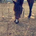 Alaina Doherty - Facebook