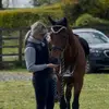 Alana Doherty - @alanadoherty2 - TikTok