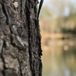 Alaina&Nathan - @aln_photography376 - Instagram