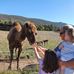 Alana Petersen - Facebook