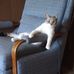 Alaina Lea Roth - Facebook