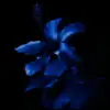𝓐ᥫ᭡ - @alainaroy1 - TikTok