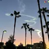 alaina - @alaina.steele53 - TikTok