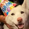 Alaina Thomas - @alaina.thomas1 - TikTok