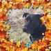 Alaina Wilson - Facebook