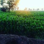 Gharib Alam Virk - @gharibvirk - Instagram