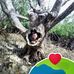 Alan Abanes - Facebook