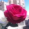 اولادي سر سعادتي - @abboudalanq2 - TikTok