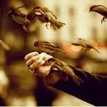 ramchosh - @_.alan._abdulla - Instagram