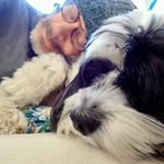 Alan Abrams - @alan.unfocused - Instagram
