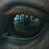 Allan Abramson - @allanabramson - TikTok