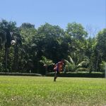 Alan Abreu - @alan_abreu12 - Instagram