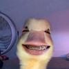 Alan Abril - @alanabril29 - TikTok