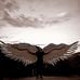 Alan Abril Gamboa - Facebook