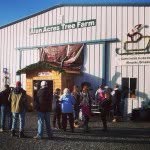 Alan Acres Tree Farm - @alan_acres - Instagram