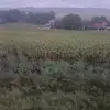 AlanaCRESTAN - @alana_crestan8502 - TikTok