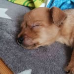 Alan Adamczyk - @alan.adamczyk.583 - Instagram