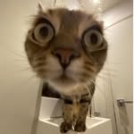Alan Adamczyk - @mercedes_is_ontop - Instagram