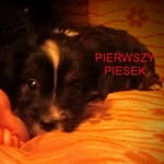 alan adamczyk - @adamczyk2007 - Instagram