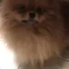 alan Adamczyk - @alanpick - TikTok