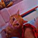 Edgar Alan Munoz Adames - Facebook