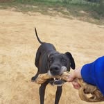 Alan Addison - @alan.addison64 - Instagram