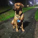 Alan Addy Addison - @addy.90.13 - Instagram