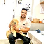 Alan | Adestrador de Cães | Rio de Janeiro - @alan_adestra - Instagram