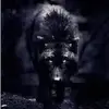Alan Affuso - @alanaffuso - TikTok