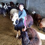افشار پلنگی - @afshar.palangi.borojrd - Instagram