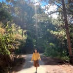Lan Anh - @alan.ahn_ - Instagram