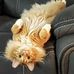 Alana Hoce - Facebook