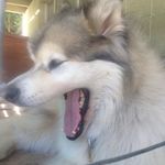 Alan Aitken - @alan.aitken.9638 - Instagram