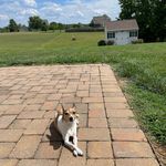Alan Akers - @cruisinal - Instagram