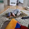 AlanAyan_Alban - @alanayan_alban - TikTok